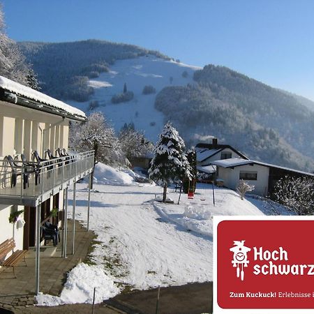 Steiert Panorama Apartments Тодтнау Екстериор снимка