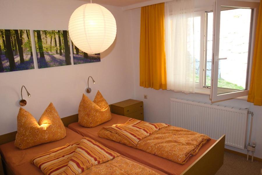Steiert Panorama Apartments Тодтнау Екстериор снимка